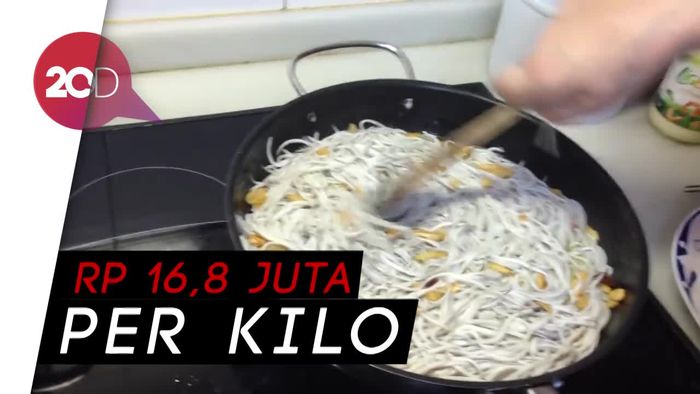 Ini Bayi Belut, Makanan Termahal di Spanyol!