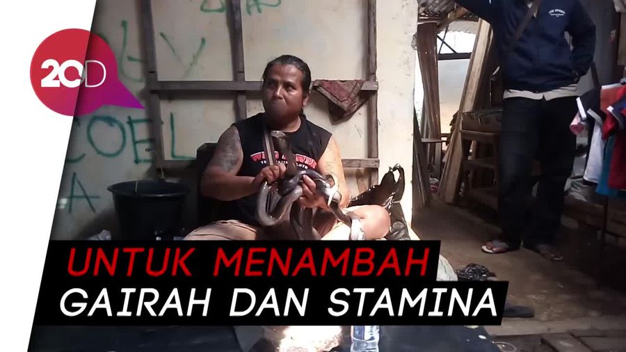 Darah dan Daging Kobra Dijual di Pasar Hewan Ambarawa Semarang