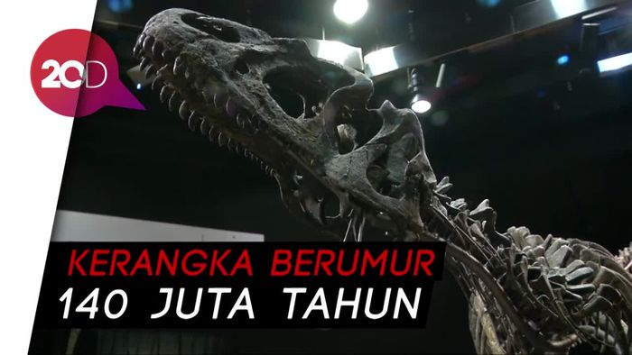 Wow! Fosil Dinosaurus Laku Dilelang Hingga Rp 20 M