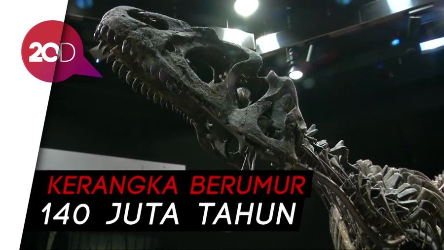 Wow! Fosil Dinosaurus Laku Dilelang Hingga Rp 20 M