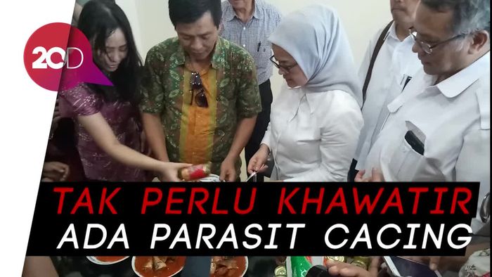 BPOM Jamin Ikan Makarel Kaleng Aman Dikonsumsi!