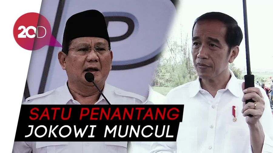 Gerindra Usung Prabowo, Jokowi: Kita Hormati!