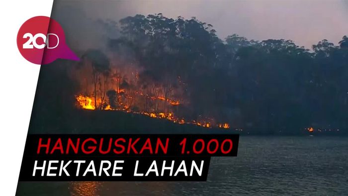 Ganasnya Kebakaran Hutan yang Landa Sydney