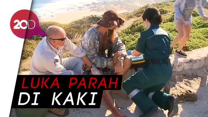 Nahas! 2 Pria di Australia Digigit Hiu