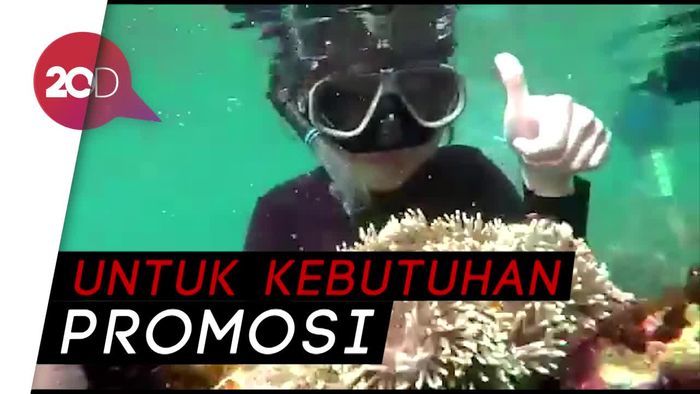 Heboh Video Karang Diangkat-angkat di Pahawang