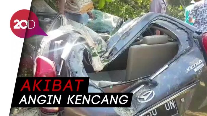 Detik-detik Pohon Tumbang dan Rusak Belasan Mobil