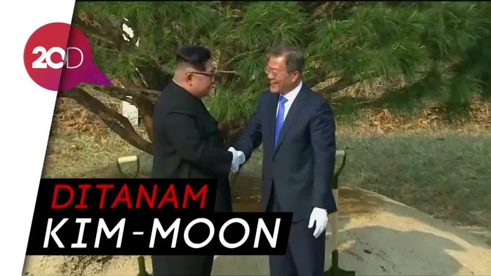 Kim Jong-un Tanam Pohon Perdamaian Korut-Korsel