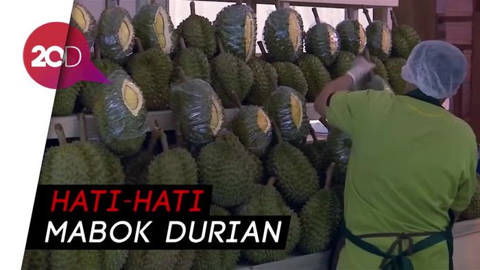 Musim Durian Tiba! Hmm Nyam-nyam 