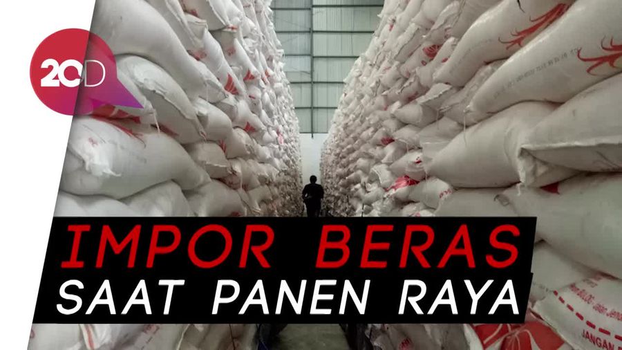 BPK Sentil Kemendag Terkait Izin Impor Beras