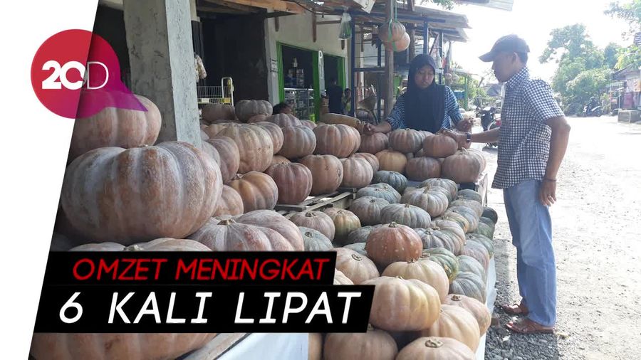 Bulan Ramadan, Buah Waluh Laris Manis di Ngawi