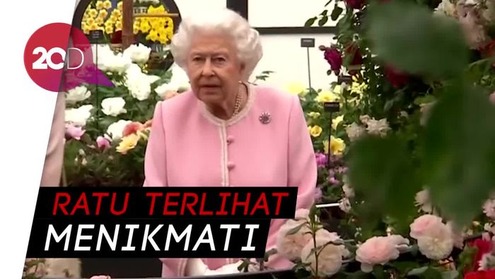 Begini Kegiatan Ratu Elizabeth II Setelah Royal Wedding