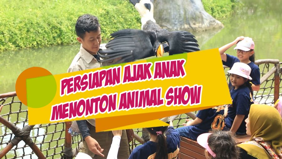 Mengajak Anak Menonton Animal Show