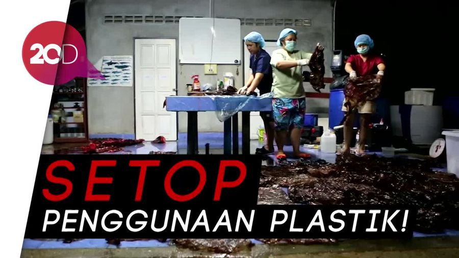 Miris! Seekor Paus Mati Usai Menelan 80 Kantong Plastik