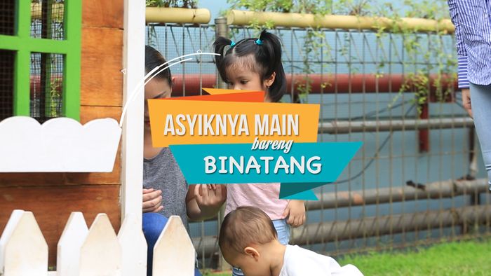 Ini Lho Manfaat Main Bersama Binatang bagi Anak