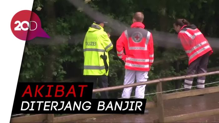 Diterjang Banjir, Hewan Buas Dikira Kabur dari Kebun Binatang