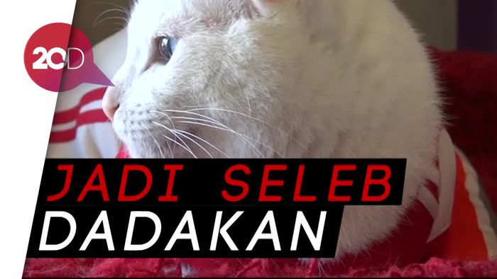 Achilles Siap Ramal Pemenang Piala Dunia 2018