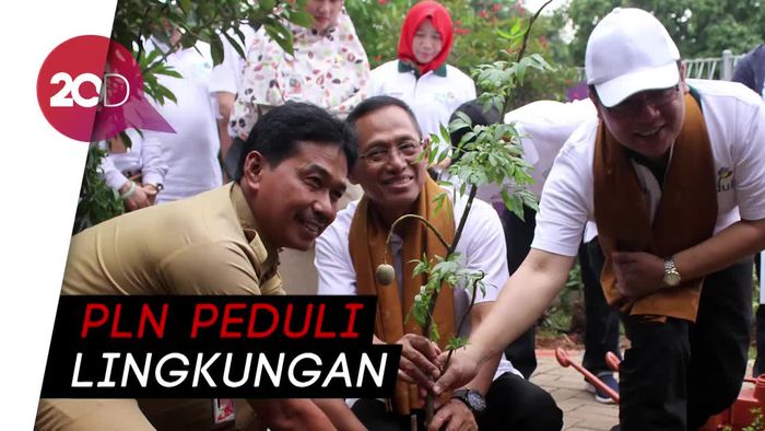 Peringati Hari Lingkungan Hidup, PLN Tanam 32.000 Pohon