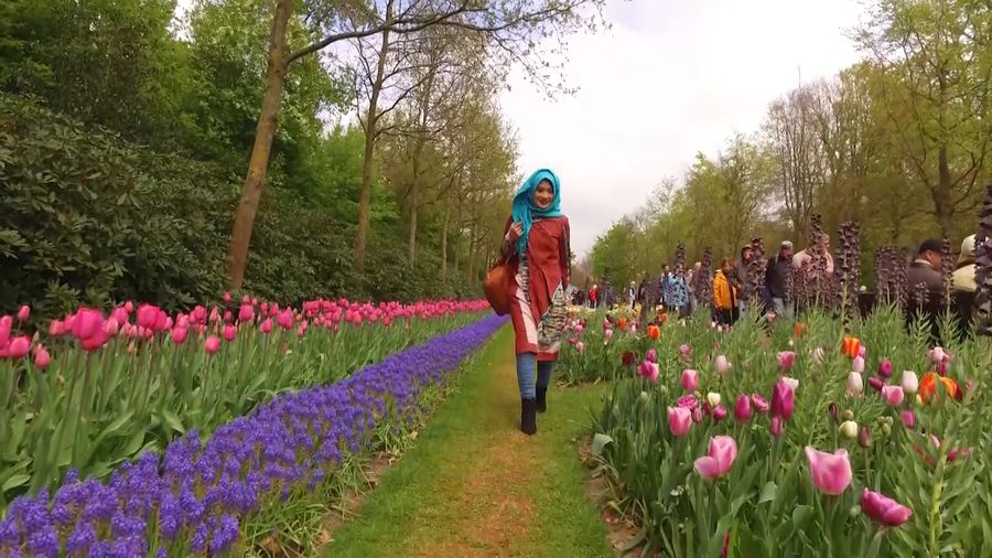 Kegiatan Umat Islam di Belanda