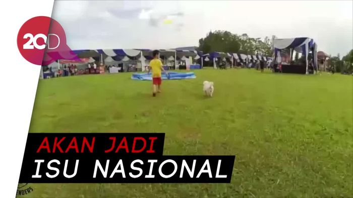 Melanie Subono Laporkan Animal Defender ke Bareskrim Polri