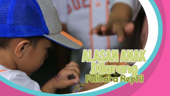 Ini Alasannya Anak Dilarang Pelihara Reptil