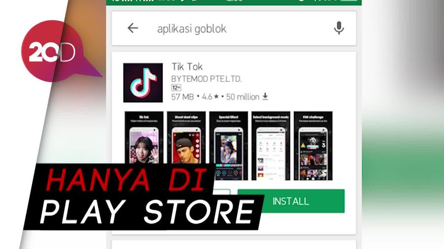 Kok Search Aplikasi Goblok Munculnya Tik Tok?