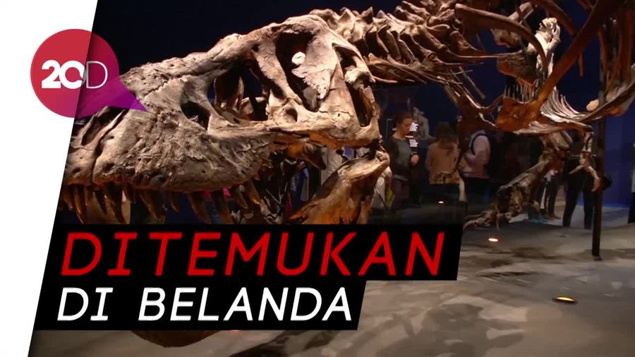 Kerangka T-Rex Berusia 67 Juta Tahun Dipamerkan di Paris 