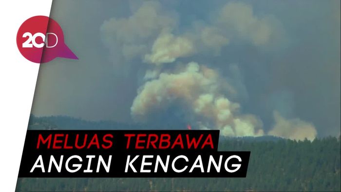 Kebakaran Hutan di Colorado, 2.000 Rumah Dievakuasi