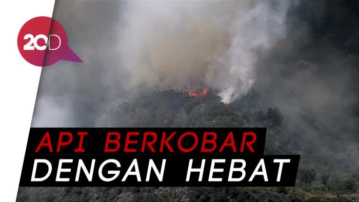 Kebakaran Hutan Ancam Perumahan Mewah Beverly Hills