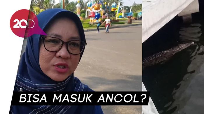 Heboh Penemuan Buaya, Ini Kata Pihak Ancol