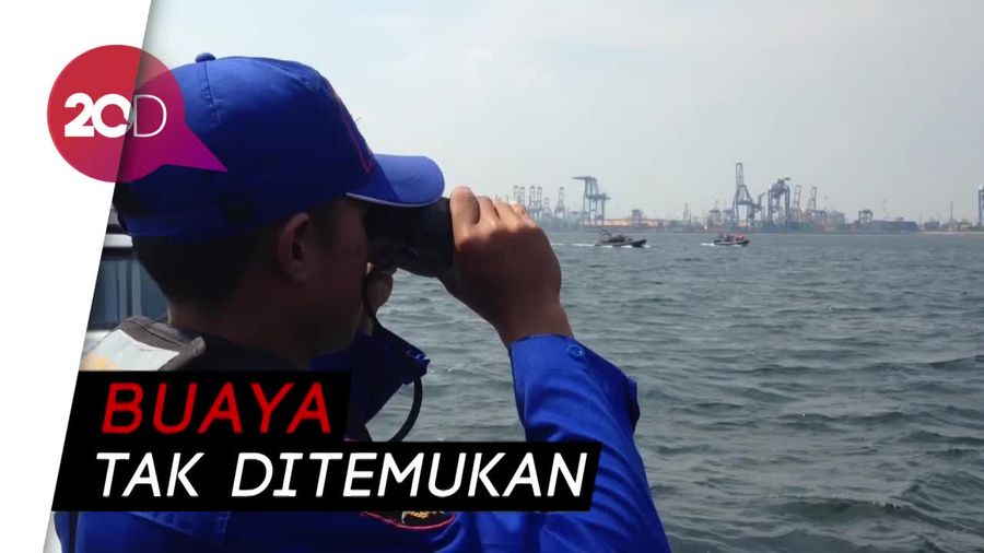 Mencari Buaya di Tanjung Priok