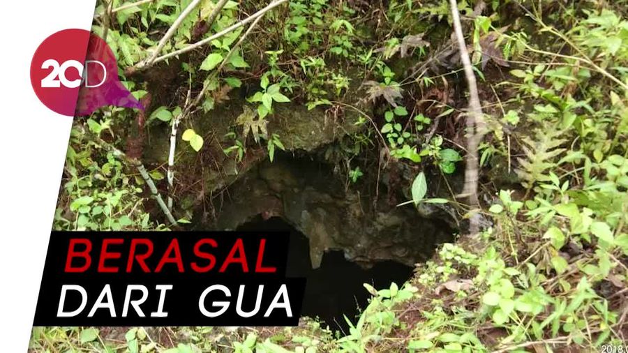 Ini Lokasi Sarang Ular Sanca yang Makan Wanita di Sultra