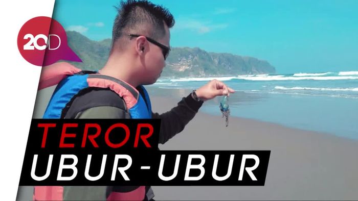 Musim Ubur-ubur, Puluhan Wisatawan Tersengat