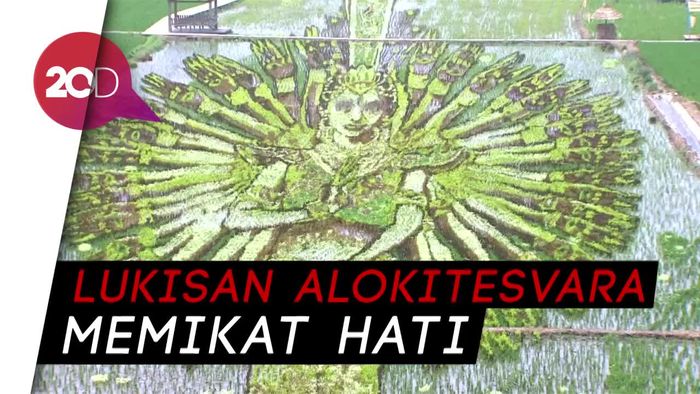 Tradisi Unik! Melukis di Atas Ladang Padi 
