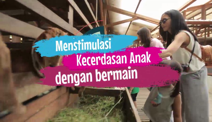 Menstimulasi Kecerdasan Anak dengan Bermain