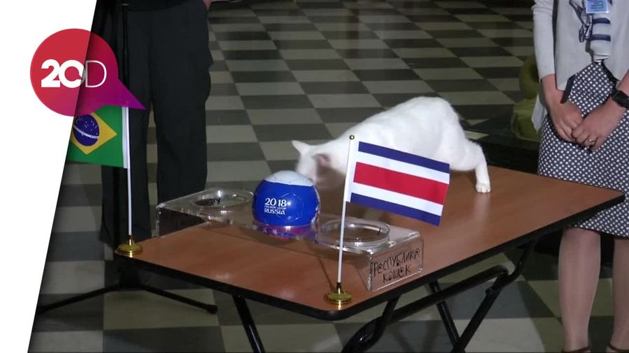 Kini Kucing Achilles Ramal Brasil Kalahkan Kosta Rika
