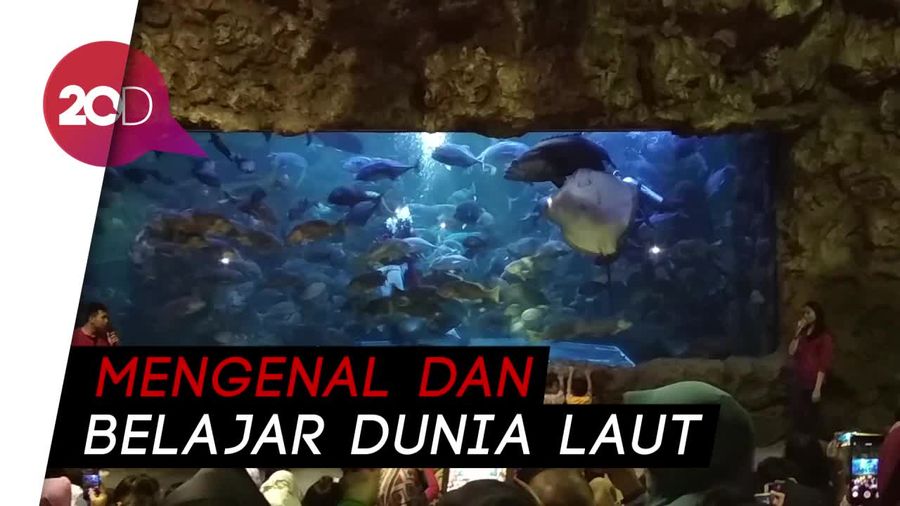 Liburan Akan Berakhir, SeaWorld Masih Ramai Pengunjung
