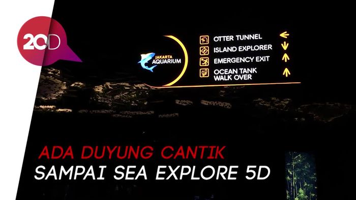 Jelajahi Dunia Bawah Laut di Jakarta Aquarium