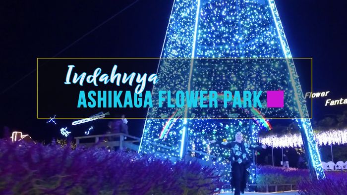 Indahnya Taman Bunga Ashikaga di Jepang