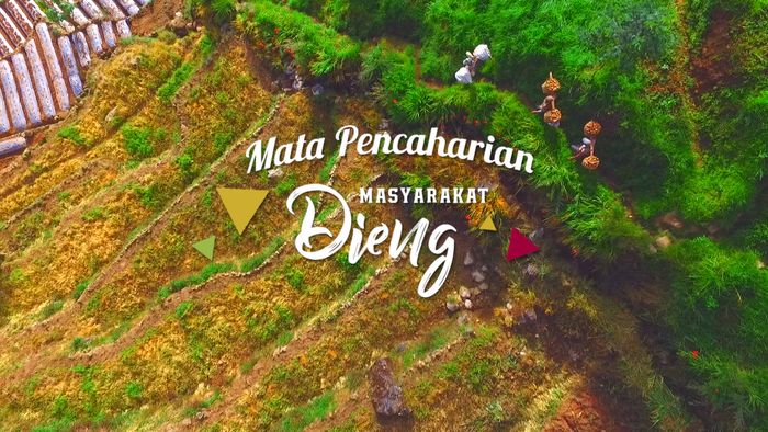 Pencaharian Masyarakat Dieng