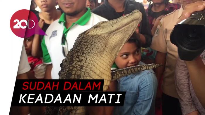 Warga Tangkap Buaya 1 Meter di Daerah Roxy