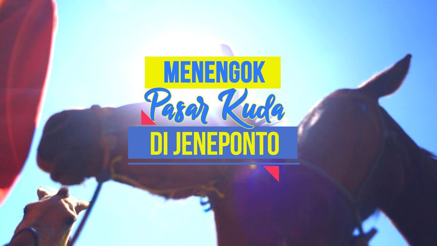 Menengok Pasar Kuda di Jeneponto