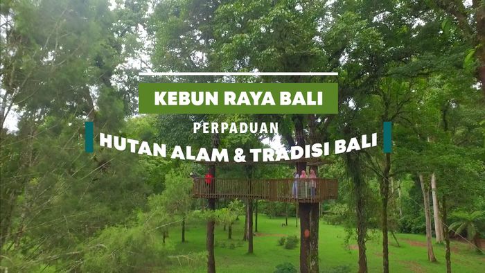 Kebun Raya Bali, Perpaduan Hutan Alam dan Tradisi Bali