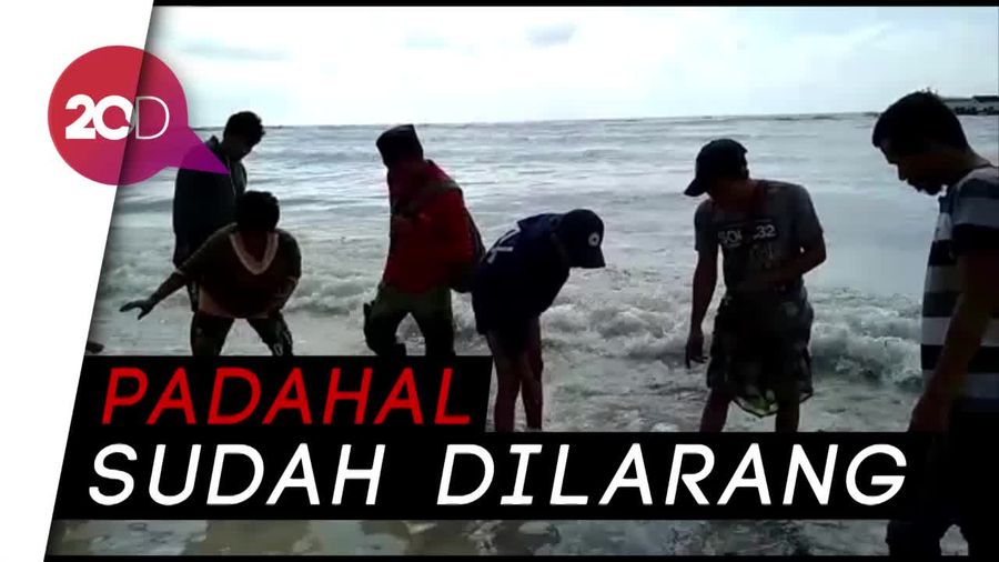 Warga Berburu Rp 30 M di Lokasi Tenggelamnya KM Lestari Maju