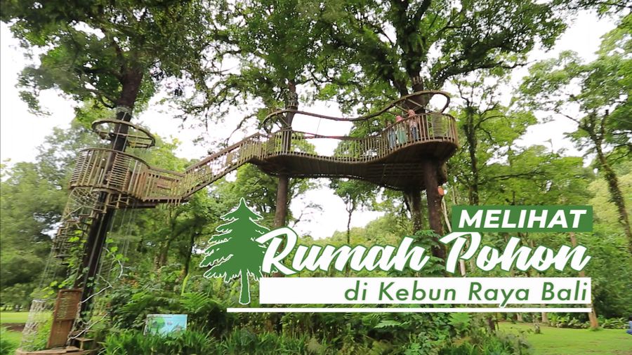 Melihat Rumah Pohon di Kebun Raya Bali