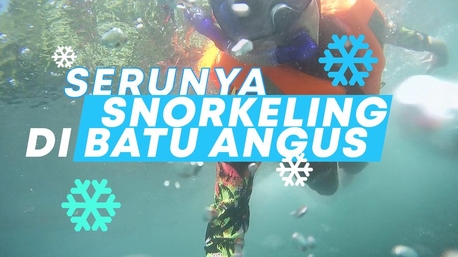 Keindahan Bawah Air Cagar Alam Batu Angus