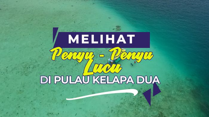 Penangkaran Penyu di Pulau Kelapa Dua