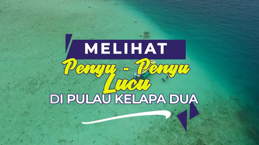 Penangkaran Penyu di Pulau Kelapa Dua
