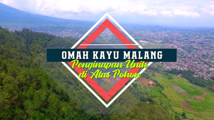 Yuk, Rasakan Sensasi Menginap di Atas Pohon 