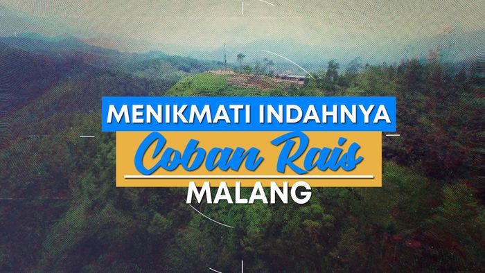Coban Rais, Keindahan Bukit Bunga di Kabupaten Malang