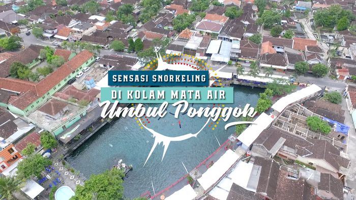 Kolam Mata Air Umbul Ponggok